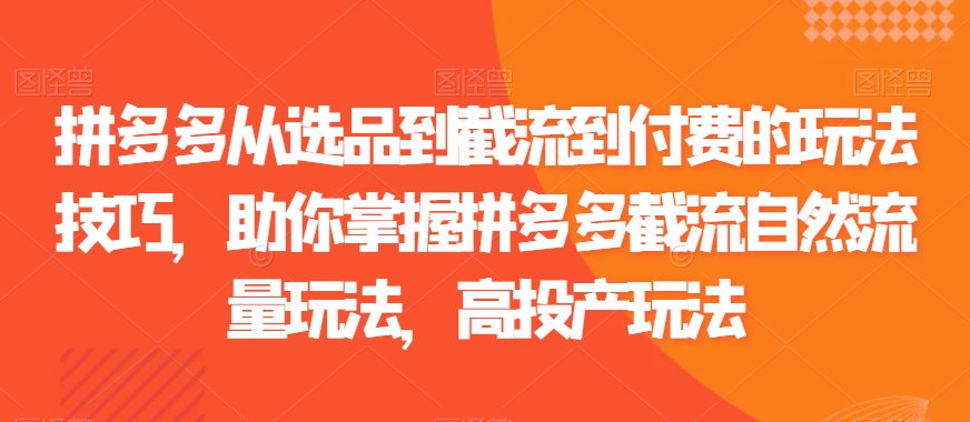 拼多多从选品到截流到付费的玩法技巧，助你掌握拼多多截流自然流量玩法，高投产玩法-网赚项目众筹网