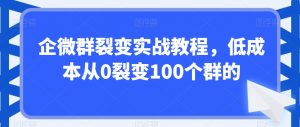 企微群裂变实战教程,低成本从0裂变100个群的-网赚项目众筹网