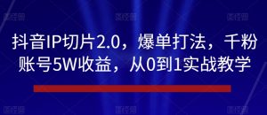 抖音IP切片2.0，爆单打法，千粉账号5W收益，从0到1实战教学【揭秘】-网赚项目众筹网