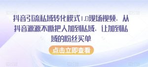 抖音引流私域转化模式1.0现场视频,从抖音源源不断把人加到私域,让加到私域的粉丝买单-网赚项目众筹网
