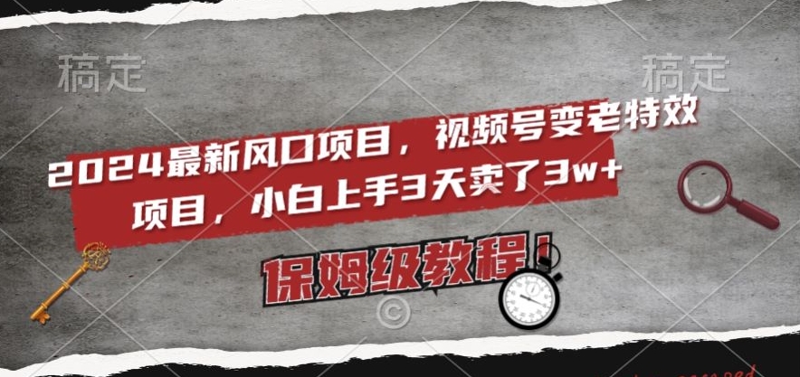 2024最新风口项目，视频号变老特效项目，电脑小白上手3天卖了3w+，保姆级教程【揭秘】-网赚项目众筹网