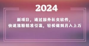 2024新项目,通过国外社交软件,快速涨粉精准引流,轻松做到月入上万【揭秘】-网赚项目众筹网