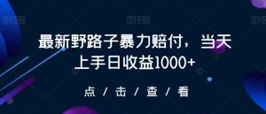 最新野路子暴力赔付,当天上手日收益1000+【仅揭秘】-网赚项目众筹网