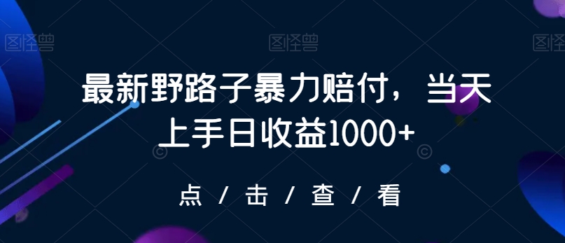 最新野路子暴力赔付，当天上手日收益1000+【仅揭秘】-网赚项目众筹网