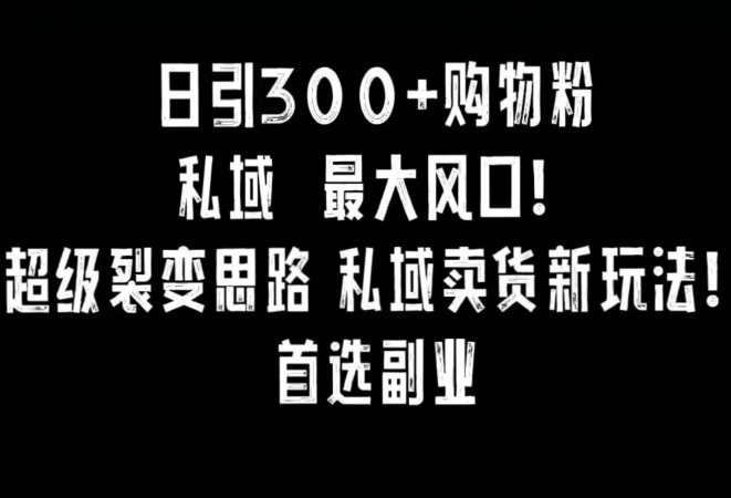 日引300+购物粉，超级裂变思路，私域卖货新玩法，小红书首选副业【揭秘】-网赚项目众筹网