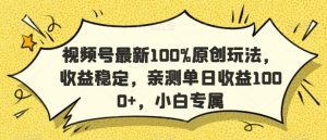 视频号最新100%原创玩法,收益稳定,亲测单日收益1000+,小白专属【揭秘】-网赚项目众筹网