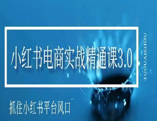 小红书电商实战精通课3.0，抓住小红书平台的风口，不错过有一个赚钱的机会-网赚项目众筹网