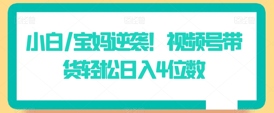 小白/宝妈逆袭！视频号带货轻松日入4位数【揭秘】-网赚项目众筹网