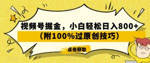 视频号掘金,小白轻松日入800+(附100%过原创技巧)【揭秘】-网赚项目众筹网