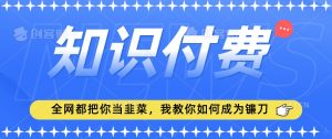 2024最新知识付费项目，小白也能轻松入局，全网都在教你做项目，我教你做镰刀【揭秘】-网赚项目众筹网