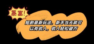短剧最新玩法,新手当天就可以有收入,收入轻松破万【揭秘】-网赚项目众筹网