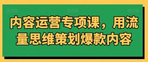 内容运营专项课,用流量思维策划爆款内容-网赚项目众筹网