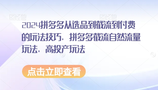 2024拼多多从选品到截流到付费的玩法技巧，拼多多截流自然流量玩法，高投产玩法-网赚项目众筹网