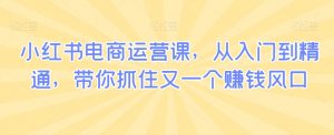 小红书电商运营课,从入门到精通,带你抓住又一个赚钱风口-网赚项目众筹网