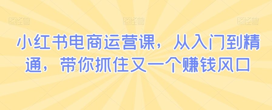 小红书电商运营课，从入门到精通，带你抓住又一个赚钱风口-网赚项目众筹网