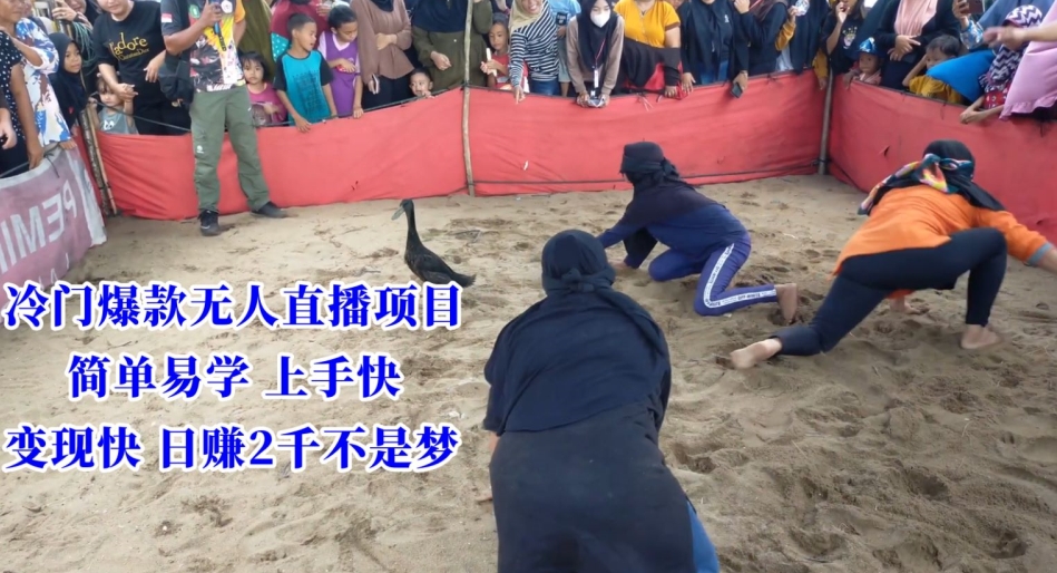 冷门爆款无人直播项目，简单易学上手快，变现快日赚2千不是梦【揭秘】-网赚项目众筹网