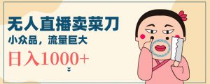 无人冷门品直播新玩法,通过卖菜刀日入1000+【揭秘】-网赚项目众筹网