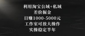 利用淘宝公域+私域差价掘金,日赚1000-5000元,工作室可放大操作,实操稳定半年【揭秘】-网赚项目众筹网