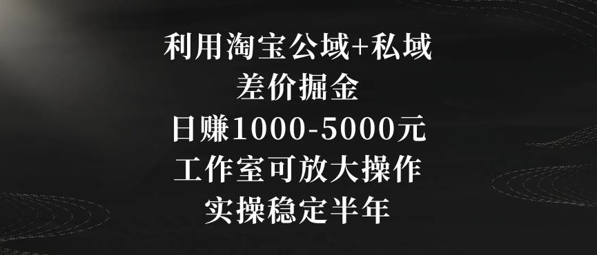 利用淘宝公域+私域差价掘金，日赚1000-5000元，工作室可放大操作，实操稳定半年【揭秘】-网赚项目众筹网