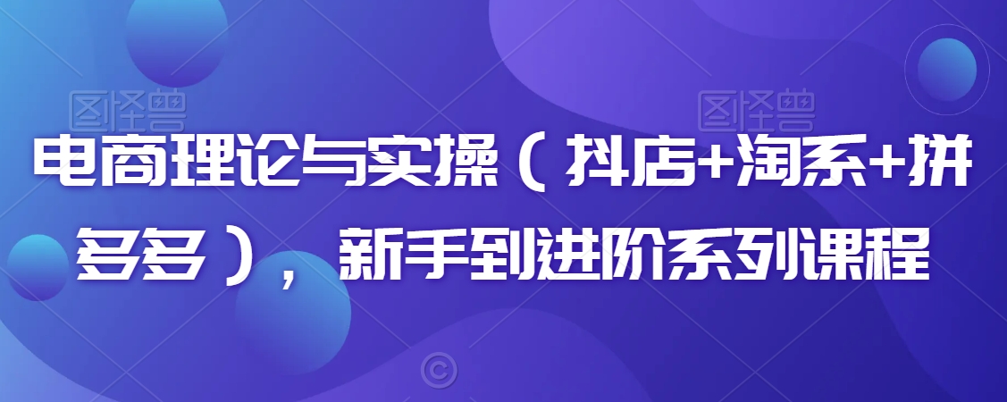电商理论与实操（抖店+淘系+拼多多），新手到进阶系列课程-网赚项目众筹网