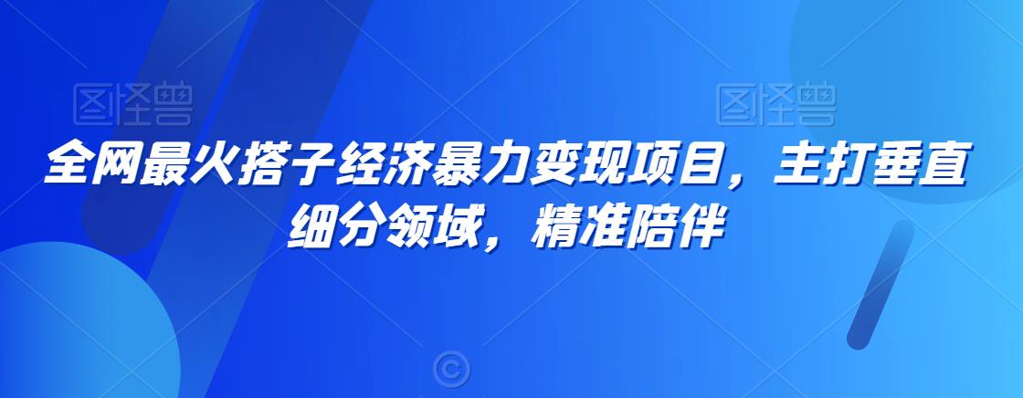 全网最火搭子经济暴力变现项目，主打垂直细分领域，精准陪伴【揭秘】-网赚项目众筹网