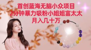 首创蓝海无脑小众项目，2分钟暴力吸粉小姐姐富太太，月入几十万【揭秘】-网赚项目众筹网