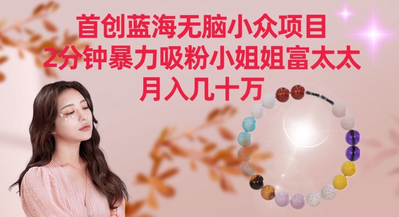 首创蓝海无脑小众项目，2分钟暴力吸粉小姐姐富太太，月入几十万【揭秘】-网赚项目众筹网