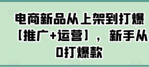 电商新品从上架到打爆【推广+运营】,新手从0打爆款-网赚项目众筹网
