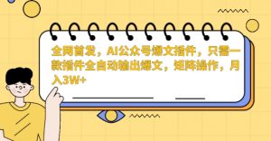 全网首发,AI公众号爆文插件,只需一款插件全自动输出爆文,矩阵操作,月入3W+【揭秘】-网赚项目众筹网