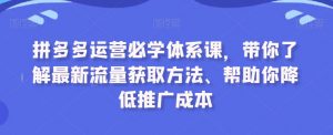 拼多多运营必学体系课，带你了解最新流量获取方法、帮助你降低推广成本-网赚项目众筹网