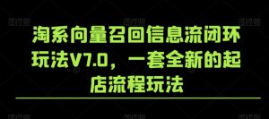 淘系向量召回信息流闭环玩法V7.0，一套全新的起店流程玩法-网赚项目众筹网