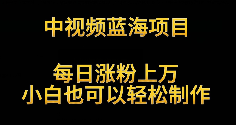 中视频蓝海项目，解读英雄人物生平，每日涨粉上万，小白也可以轻松制作，月入过万不是梦【揭秘】-网赚项目众筹网