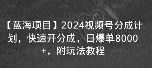 【蓝海项目】2024视频号分成计划,快速开分成,日爆单8000+,附玩法教程-网赚项目众筹网