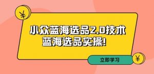 拼多多培训第33期:小众蓝海选品2.0技术-蓝海选品实操!-网赚项目众筹网
