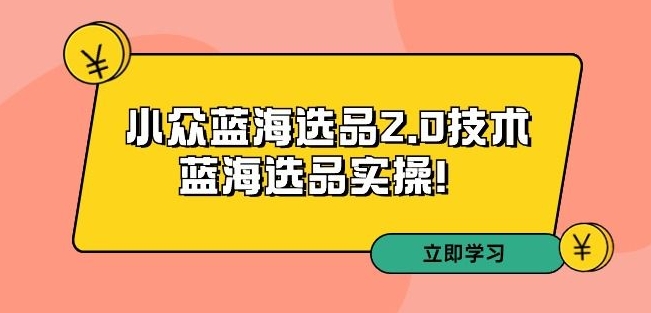 拼多多培训第33期：小众蓝海选品2.0技术-蓝海选品实操！-网赚项目众筹网