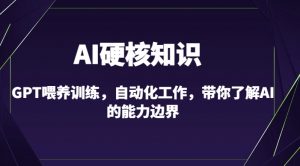 AI硬核知识-GPT喂养训练,自动化工作,带你了解AI的能力边界(10节课)-网赚项目众筹网