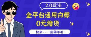 外面收费2980的全平台通用白嫖撸货项目2.0玩法【仅揭秘】-网赚项目众筹网