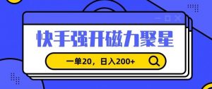 信息差赚钱项目，快手强开磁力聚星，一单20，日入200+【揭秘】-网赚项目众筹网