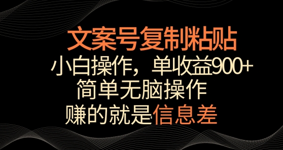 文案号掘金，简单复制粘贴，小白操作，单作品收益900+【揭秘】-网赚项目众筹网