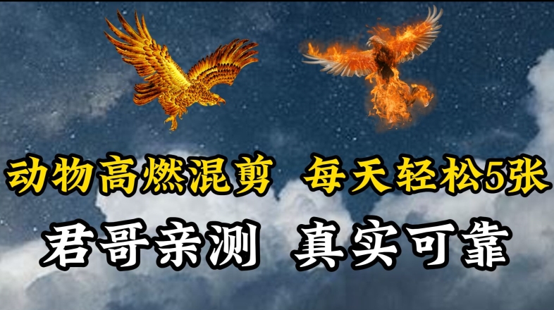 动物超燃混剪，每天轻松5张，剪辑简单大家爱看【揭秘】-网赚项目众筹网