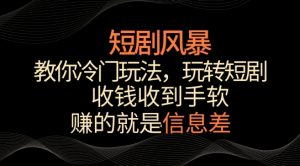 短剧风暴,教你冷门玩法,玩转短剧,收钱收到手软【揭秘】-网赚项目众筹网