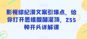 影视综纪漫文案引爆点，给你打开思维醍醐灌顶，255种开头详解课-网赚项目众筹网