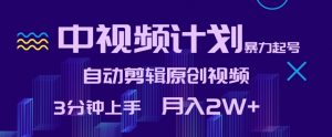中视频计划暴力起号,自动剪辑原创视频,3分钟上手,月入2W+【揭秘】-网赚项目众筹网