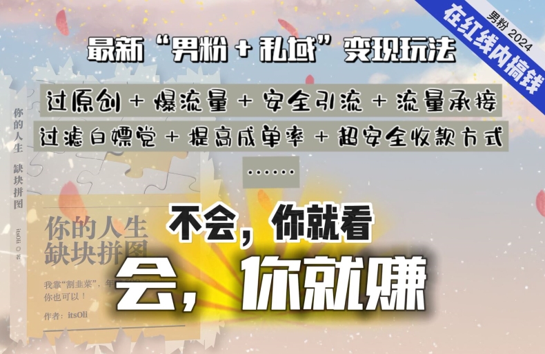 2024，“男粉+私域”还是最耐造、最赚、最轻松、最愉快的变现方式【揭秘】-网赚项目众筹网