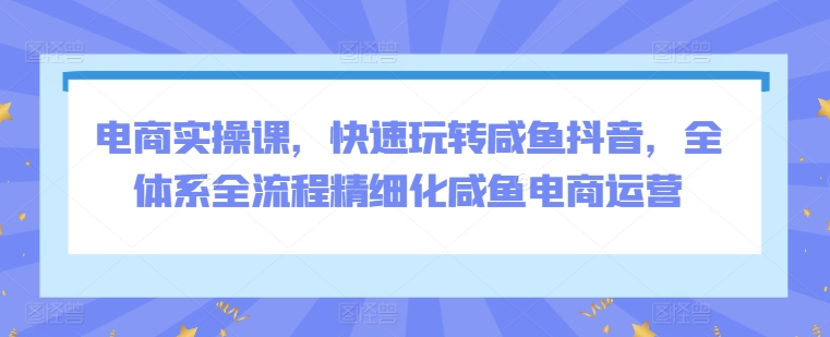 电商实操课，快速玩转咸鱼抖音，全体系全流程精细化咸鱼电商运营-网赚项目众筹网
