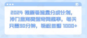 2024视频号流量分成计划,冷门监海赛道奇闻趣事,每天只需30分钟,轻松目赚 1000+【揭秘】-网赚项目众筹网