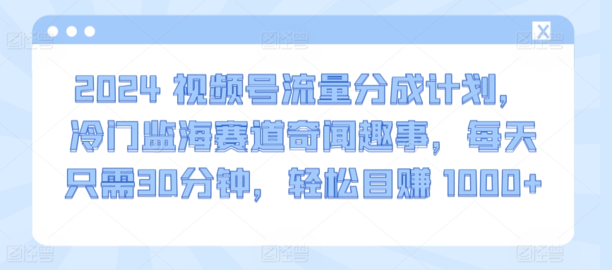2024视频号流量分成计划，冷门监海赛道奇闻趣事，每天只需30分钟，轻松目赚 1000+【揭秘】-网赚项目众筹网