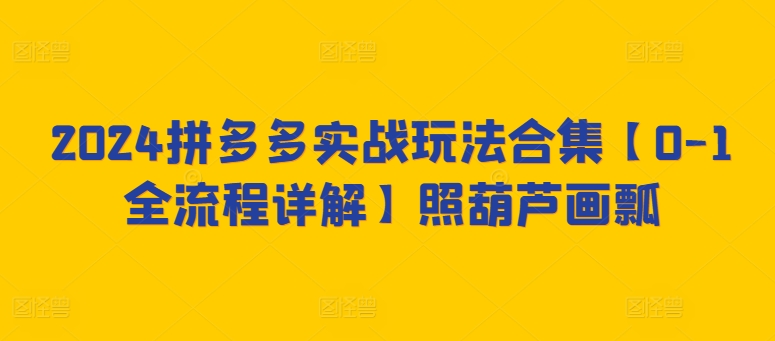 2024拼多多实战玩法合集【0-1全流程详解】照葫芦画瓢-网赚项目众筹网