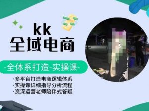 KK全域电商,全体系打造实操课,多平台打造电商逻辑体系-网赚项目众筹网
