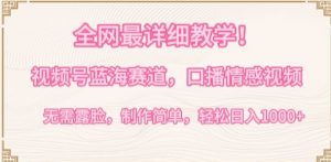 全网最详细教学,视频号蓝海赛道,口播情感视频,无需露脸,制作简单,轻松实现日入1000+【揭秘】-网赚项目众筹网